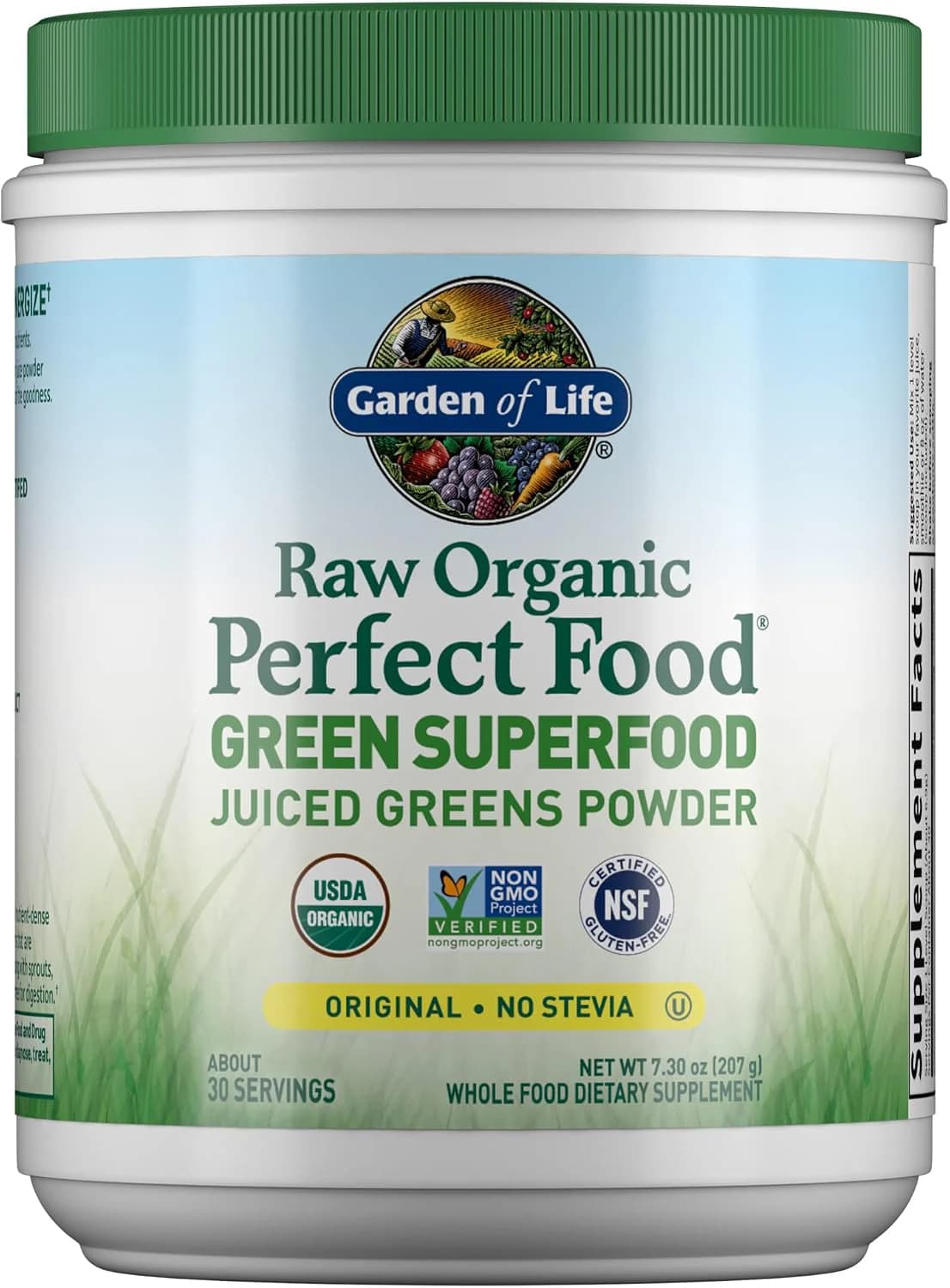 Front of Garden of Life Raw Organic Perfect Food Green Superfood Original 30-serving tub